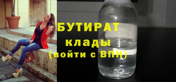 индика Алексин