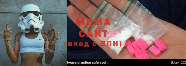индика Алексин