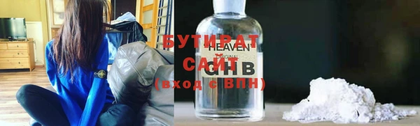 индика Алексин