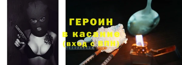 индика Алексин