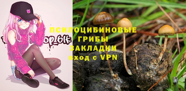индика Алексин