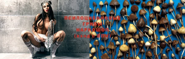 индика Алексин