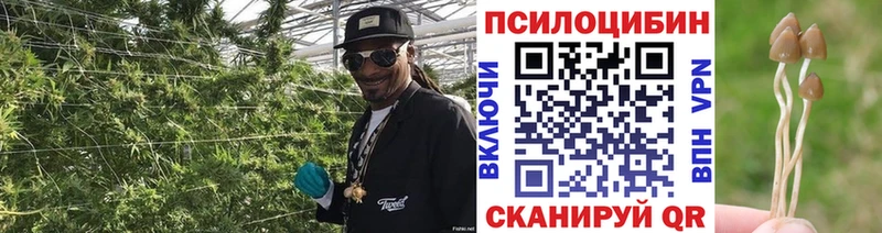 Псилоцибиновые грибы GOLDEN TEACHER  МЕГА как войти  Уварово 